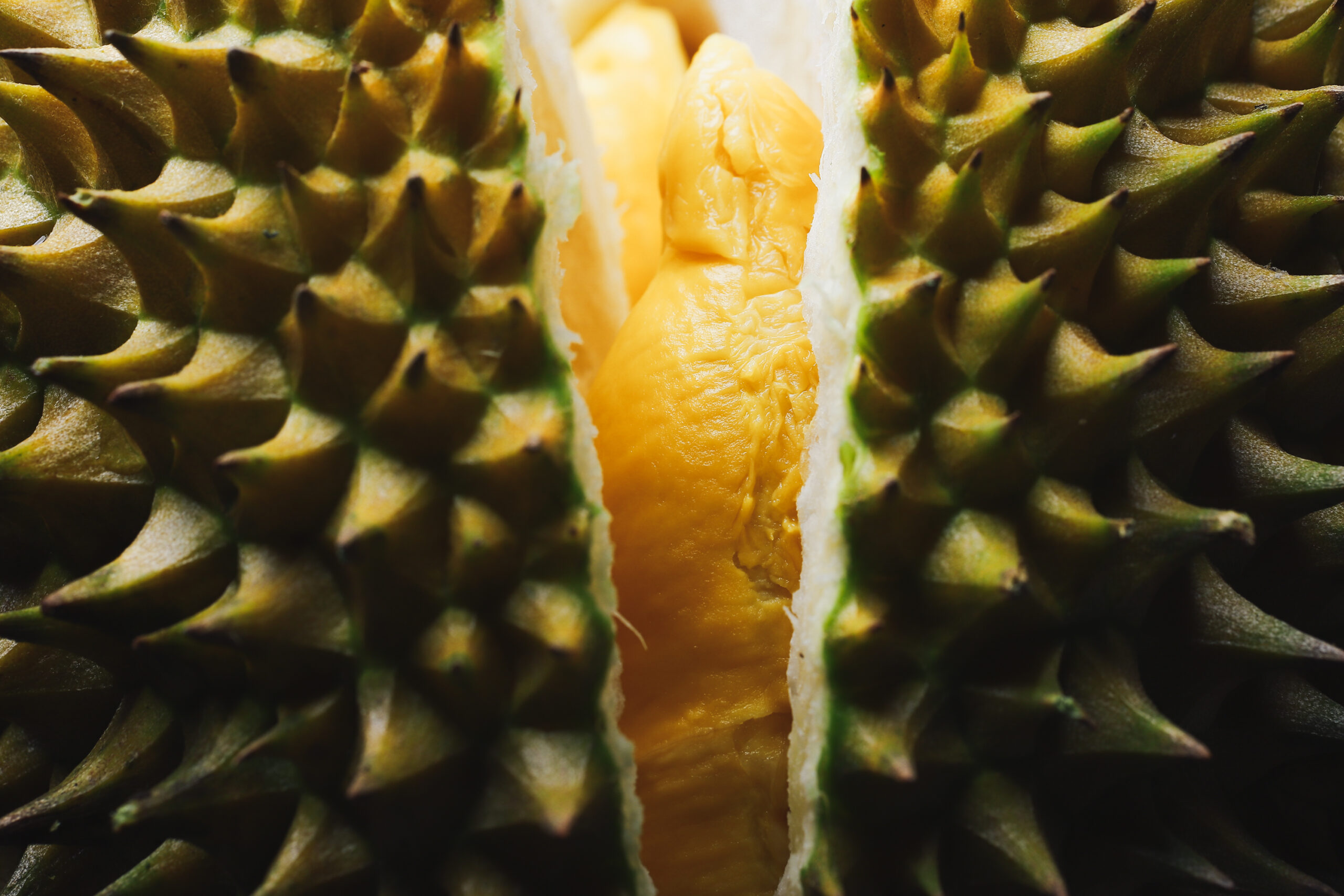 Durian Monthong - Exotische Frucht mit einzigartigem Geschmack - JJ Global Trader