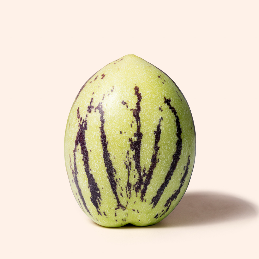 Pepino Melon  