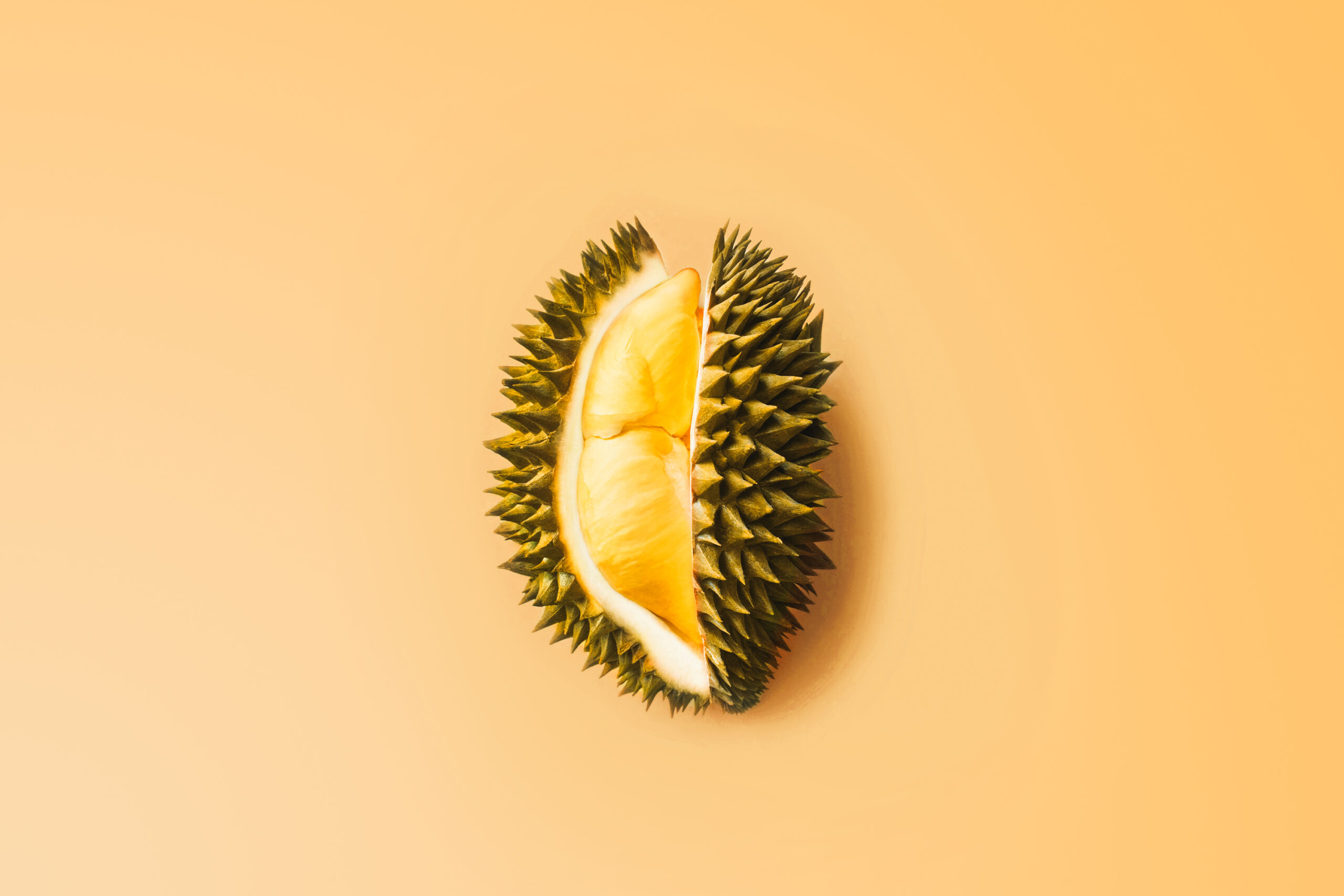 Durian Monthong - Exotische Frucht mit einzigartigem Geschmack - JJ Global Trader