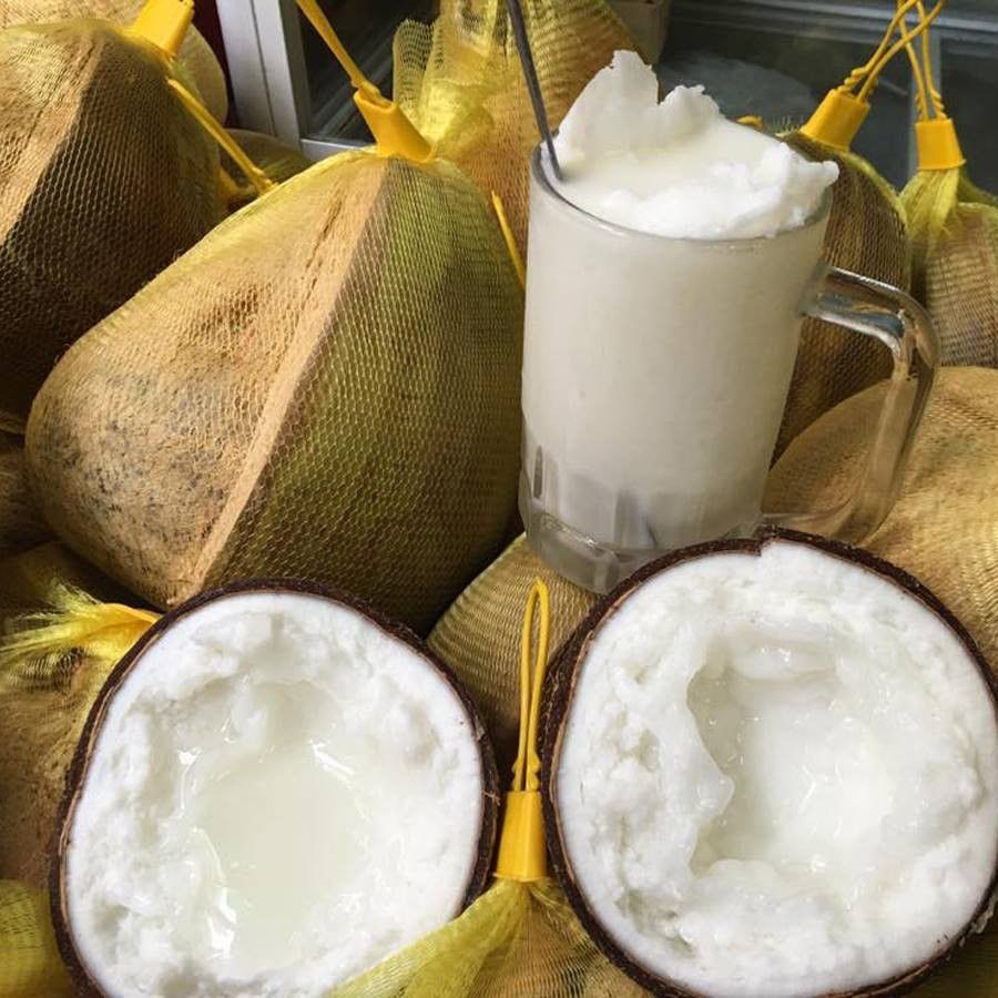 Milky Kokosnuss - Dừa sáp